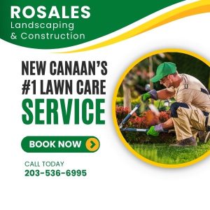 Lawn Care Services in New Canaan, CT | Rosales Landscaping & Construction